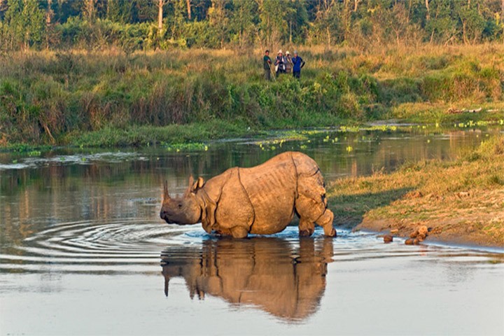 chitwan-national-park-tour1573488322.jpg